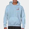 Heavy Blend Adult Hooded Sweatshirt Thumbnail