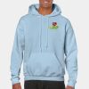 Heavy Blend Adult Hooded Sweatshirt Thumbnail