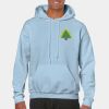 Heavy Blend Adult Hooded Sweatshirt Thumbnail