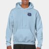 Heavy Blend Adult Hooded Sweatshirt Thumbnail