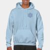 Heavy Blend Adult Hooded Sweatshirt Thumbnail