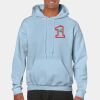 Heavy Blend Adult Hooded Sweatshirt Thumbnail