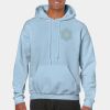 Heavy Blend Adult Hooded Sweatshirt Thumbnail