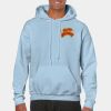 Heavy Blend Adult Hooded Sweatshirt Thumbnail