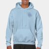 Heavy Blend Adult Hooded Sweatshirt Thumbnail