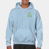 Heavy Blend Adult Hooded Sweatshirt Thumbnail