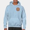 Heavy Blend Adult Hooded Sweatshirt Thumbnail
