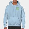 Heavy Blend Adult Hooded Sweatshirt Thumbnail