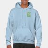 Heavy Blend Adult Hooded Sweatshirt Thumbnail