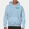 Heavy Blend Adult Hooded Sweatshirt Thumbnail