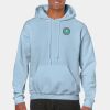 Heavy Blend Adult Hooded Sweatshirt Thumbnail