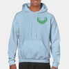 Heavy Blend Adult Hooded Sweatshirt Thumbnail