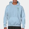Heavy Blend Adult Hooded Sweatshirt Thumbnail