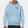 Heavy Blend Adult Hooded Sweatshirt Thumbnail
