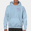 Heavy Blend Adult Hooded Sweatshirt Thumbnail
