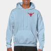Heavy Blend Adult Hooded Sweatshirt Thumbnail