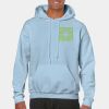Heavy Blend Adult Hooded Sweatshirt Thumbnail