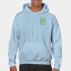 Heavy Blend Adult Hooded Sweatshirt Thumbnail