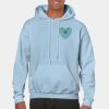 Heavy Blend Adult Hooded Sweatshirt Thumbnail