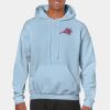 Heavy Blend Adult Hooded Sweatshirt Thumbnail