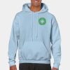 Heavy Blend Adult Hooded Sweatshirt Thumbnail