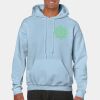 Heavy Blend Adult Hooded Sweatshirt Thumbnail
