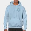 Heavy Blend Adult Hooded Sweatshirt Thumbnail