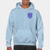Heavy Blend Adult Hooded Sweatshirt Thumbnail