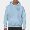 Heavy Blend Adult Hooded Sweatshirt Thumbnail