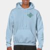 Heavy Blend Adult Hooded Sweatshirt Thumbnail