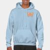 Heavy Blend Adult Hooded Sweatshirt Thumbnail