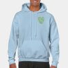 Heavy Blend Adult Hooded Sweatshirt Thumbnail