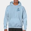 Heavy Blend Adult Hooded Sweatshirt Thumbnail