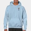 Heavy Blend Adult Hooded Sweatshirt Thumbnail