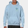 Heavy Blend Adult Hooded Sweatshirt Thumbnail