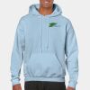 Heavy Blend Adult Hooded Sweatshirt Thumbnail