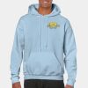 Heavy Blend Adult Hooded Sweatshirt Thumbnail