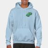 Heavy Blend Adult Hooded Sweatshirt Thumbnail