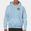 Heavy Blend Adult Hooded Sweatshirt Thumbnail