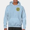 Heavy Blend Adult Hooded Sweatshirt Thumbnail