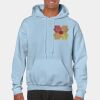 Heavy Blend Adult Hooded Sweatshirt Thumbnail