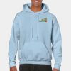 Heavy Blend Adult Hooded Sweatshirt Thumbnail