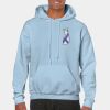 Heavy Blend Adult Hooded Sweatshirt Thumbnail
