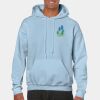 Heavy Blend Adult Hooded Sweatshirt Thumbnail