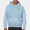 Heavy Blend Adult Hooded Sweatshirt Thumbnail