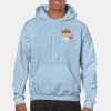 Heavy Blend Adult Hooded Sweatshirt Thumbnail