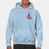 Heavy Blend Adult Hooded Sweatshirt Thumbnail