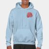 Heavy Blend Adult Hooded Sweatshirt Thumbnail