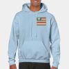Heavy Blend Adult Hooded Sweatshirt Thumbnail