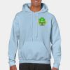 Heavy Blend Adult Hooded Sweatshirt Thumbnail